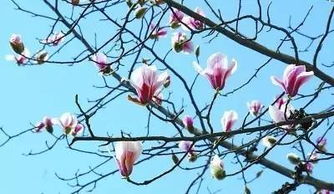 二、 阳光的诱惑