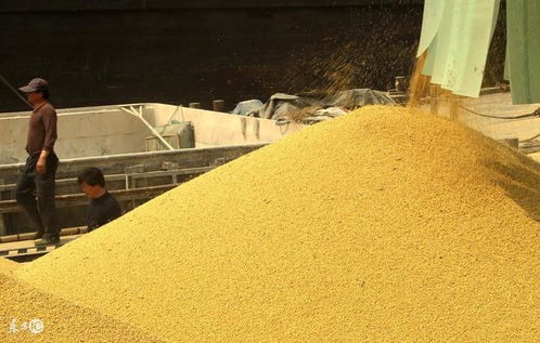 哺乳子猪饲料配方中，玉米、豆粕、鱼粉等成分比例如何确定最适宜其生长发育？