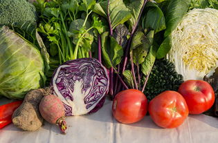 农人的小智慧——根据不同天数，种植哪些蔬菜呢？