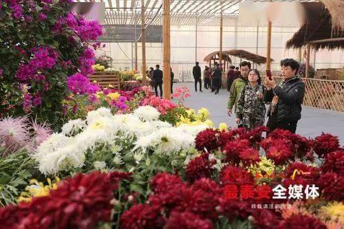 特色植物，各具特色