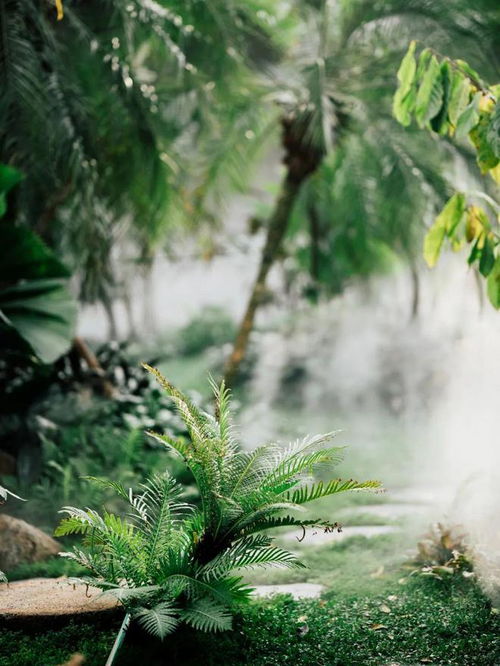 泥土与芬芳中的宁静