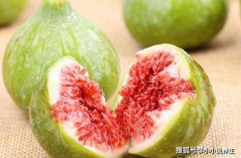 无花果汁液有毒吗？它含有哪些成分