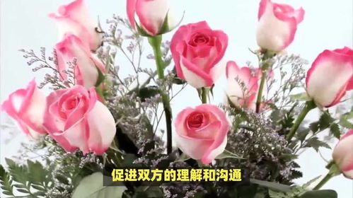 请问哪种花的花语代表着对长辈的尊敬和孝顺