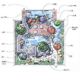 一、树木图片堪花眼，选树难？跟我学！