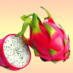 火龙果的多样吃法