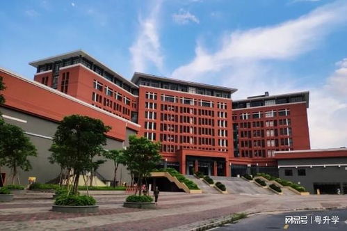 广西大学湿热校区草坪新革命：省下50%绿化维护费的秘密