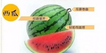 如何挑选含糖量低的水果？老果农教你秘诀