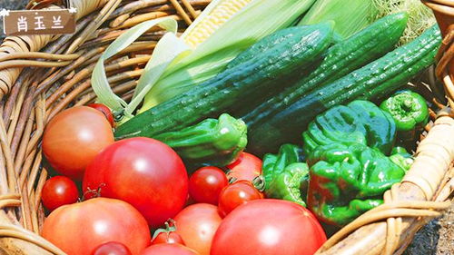 枸杞苗、胡萝卜，营养丰富的蔬菜