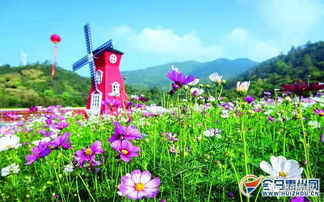 独家数据：借光种植， 收益高