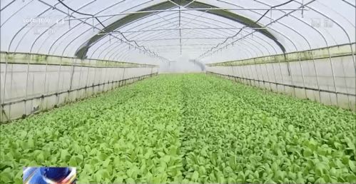 三、国家标准了解一下