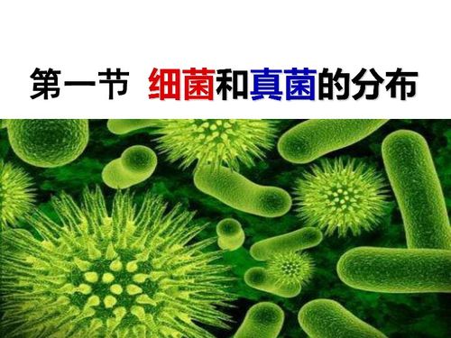 苯醚甲环唑：这不是个魔术药