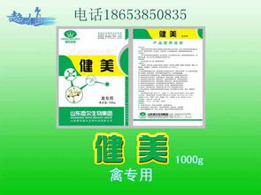 微生态制剂助力家禽肠道健康养殖新策略