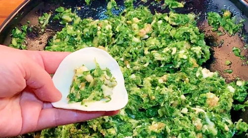 阳台秋种菜，包饺子佳肴
