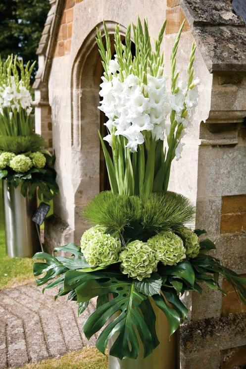 五月花园的美丽选择：高颜值花草种植指南