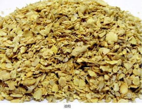 茶油饼作为肥料使用效果如何？