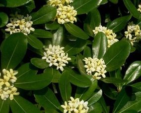 播种前的准备，你准备好了吗？