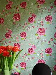 菊花不在春季绽放，为何春意盎然时却不见其影