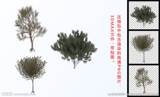 树木图画中的自然艺术世界