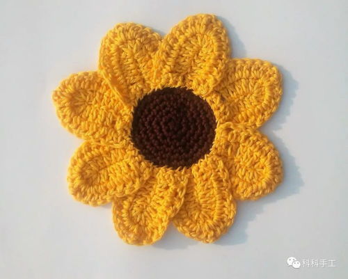 太阳花种泥小秘籍， 让花朵更鲜亮