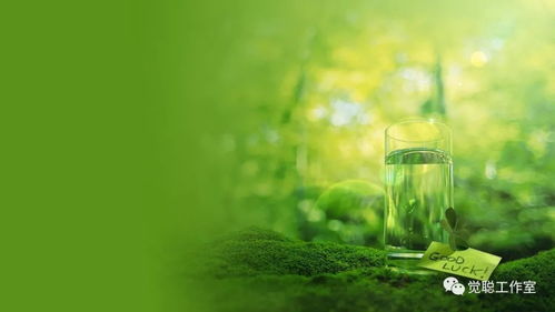 植保硕士：绿色卫士的摇篮