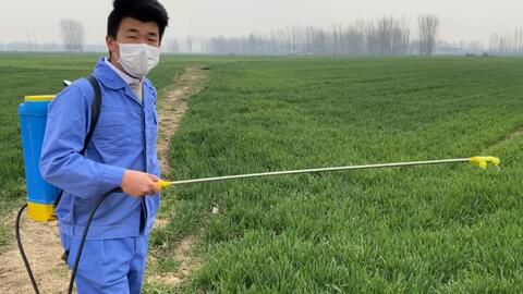 人工打药亩数的影响因素