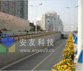 选址与植物选择