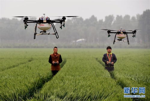 个人防护和注意事项