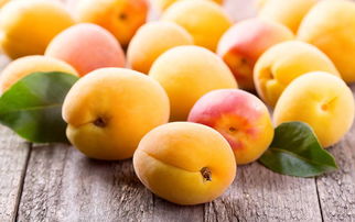 东北选春播，华北选秋播