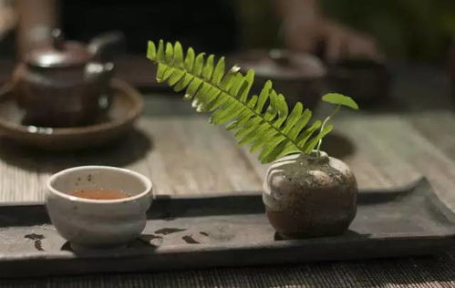 茶锈与茶垢：神秘的黑影还是健康隐患？