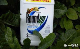 转基因伴侣草甘膦，究竟对环境有何影响？