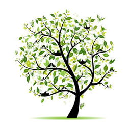 春天的树木， 它们的名字和故事