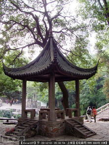 亭子与地形的关联：和谐共舞