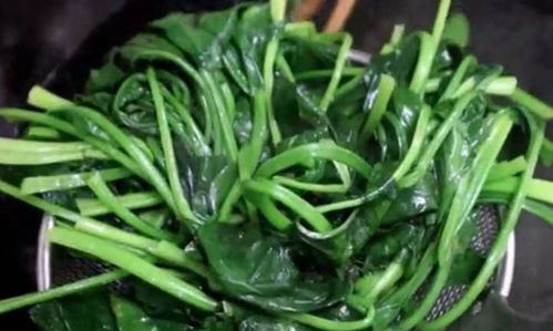 青菜带一种花是什么菜