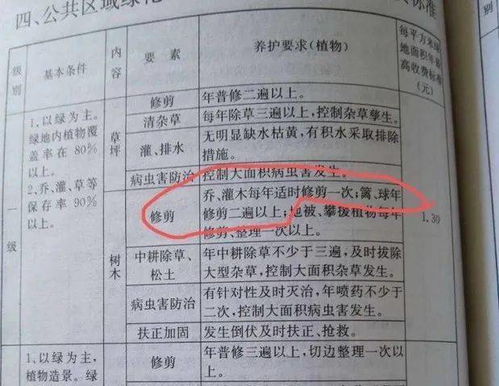 合规文件价值高， 缺树龄证明单多交11万补偿金