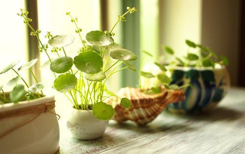 养殖过程中要注意什么？