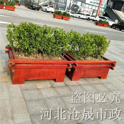 四季常绿的杜鹃和山茶花