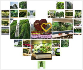 再者， 还得堪堪植物对土壤的要求