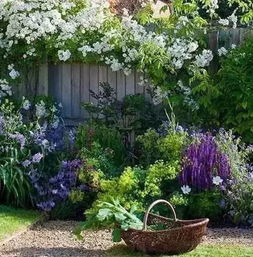 花香弥漫，心旷神怡