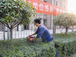 春天里的绿意盎然：园林绿化上半年养护方案大揭秘