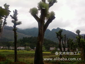 量大从优， 欢迎咨询