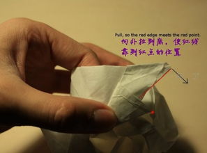用卫生纸折玫瑰花难吗？这篇教程让你轻松学会