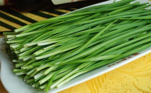 冬天里的塑料桶蔬菜