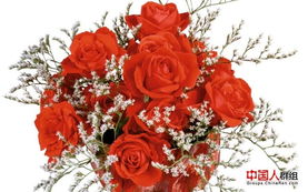 玫瑰，爱情永恒，分手亦美好，花语新解！