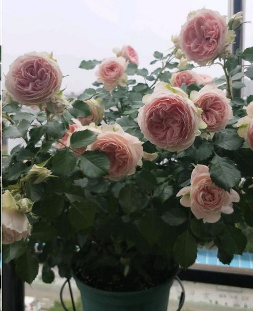 加强养护是基础