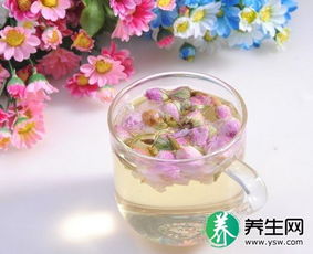 玫瑰花茶搭配什么花茶最佳？养生达人推荐这几款