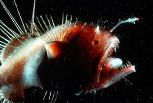 长期使用， 影响深远