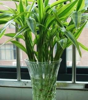 7. 摆放位置， 也要注意选择