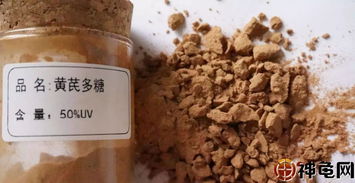 猪饲料中添加黄芪多糖比例多少最合适？黄芪多糖对猪有哪些作用？皇竹草过量喂猪会有哪些坏处？