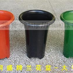 兰花盆的选择， 注重透气