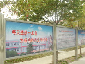 第四步：动手实践